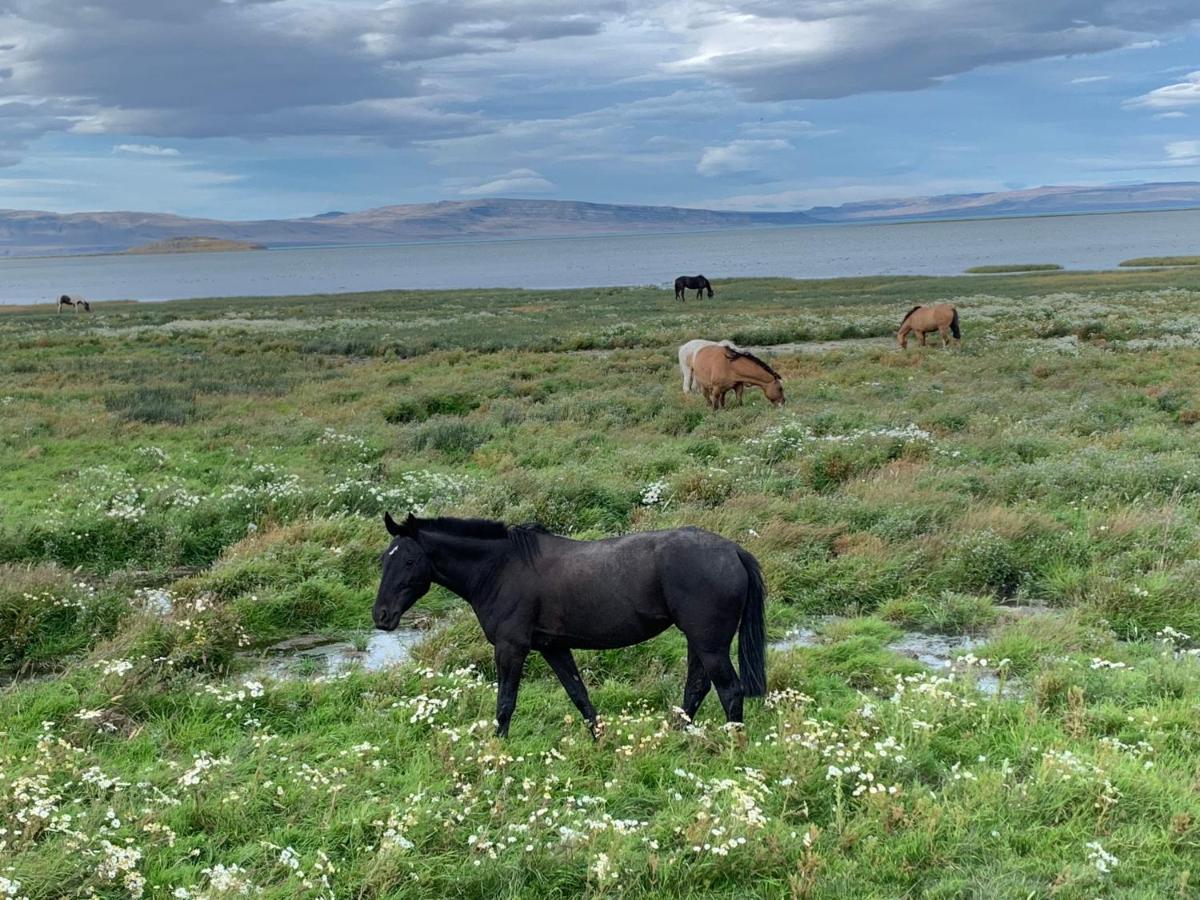 Apart Azul Calafate El Calafate Ngoại thất bức ảnh
